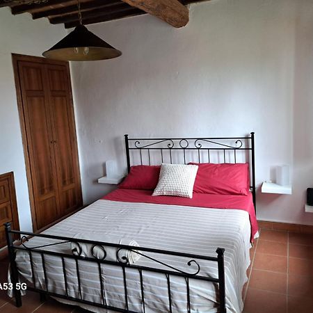 Pepe House Villa Capannori Buitenkant foto
